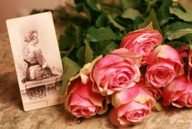 Old picture and  pink roses